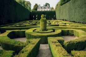 世界杯官网 三河市政绿化项目